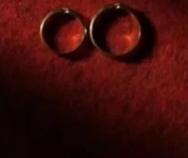 Dua cincin pernikahan di atas beludru merah